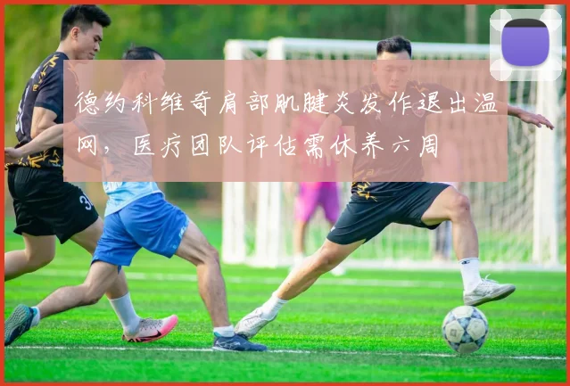 德约科维奇肩部肌腱炎发作退出温网，医疗团队评估需休养六周
